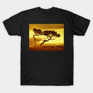 Tree Dance (Sepia) T-Shirt